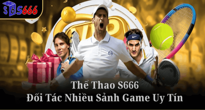 Cách Thực Hiện Thể Thao S66 Hiệu Quả