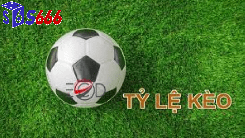 Chiến lược cá cược dựa trên tỷ lệ kèo